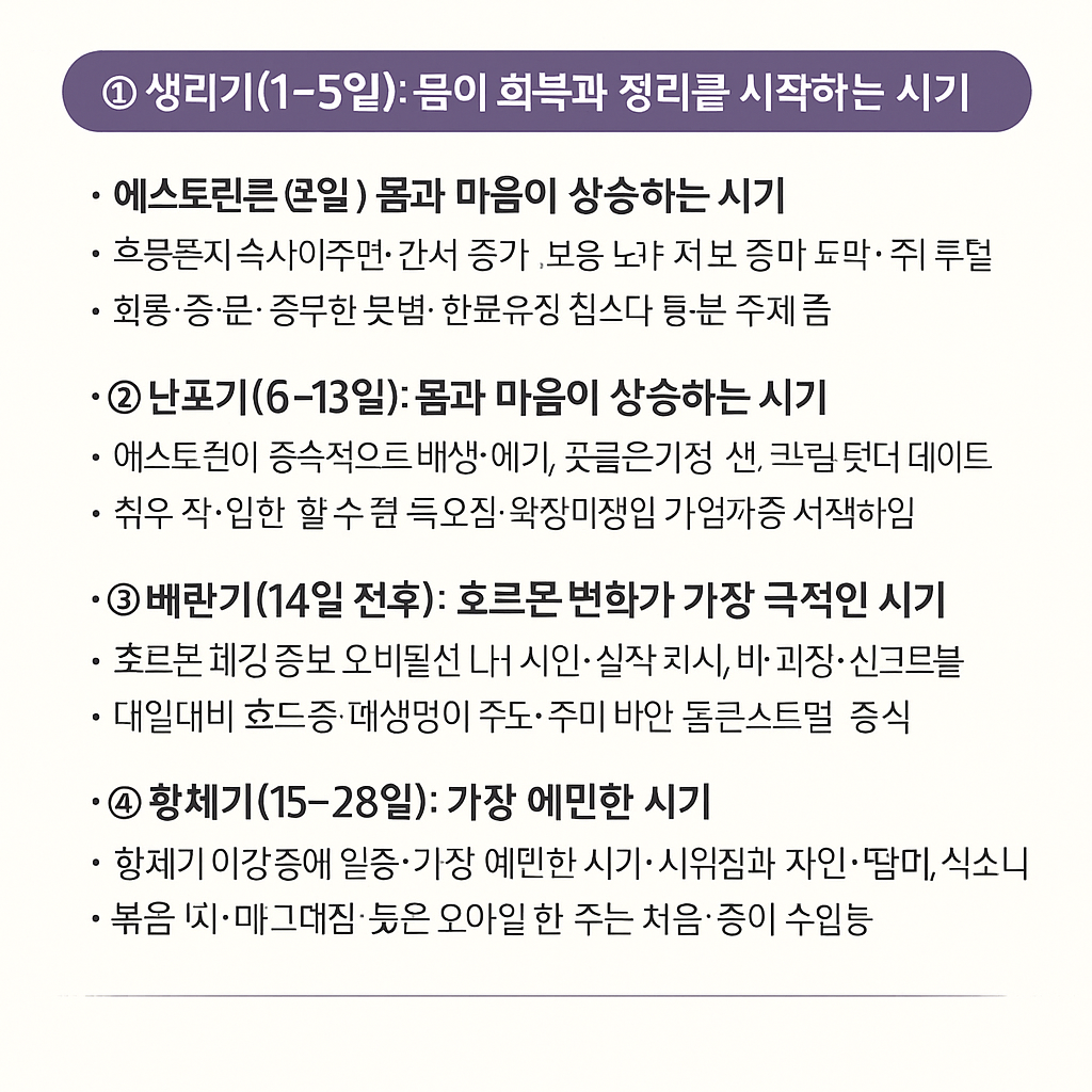 생리 주기와 몸의 변화