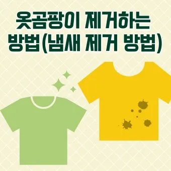 곰팡이 냄새 빨래통 환기와 햇빛 건조 베이킹소다 뿌리기_12