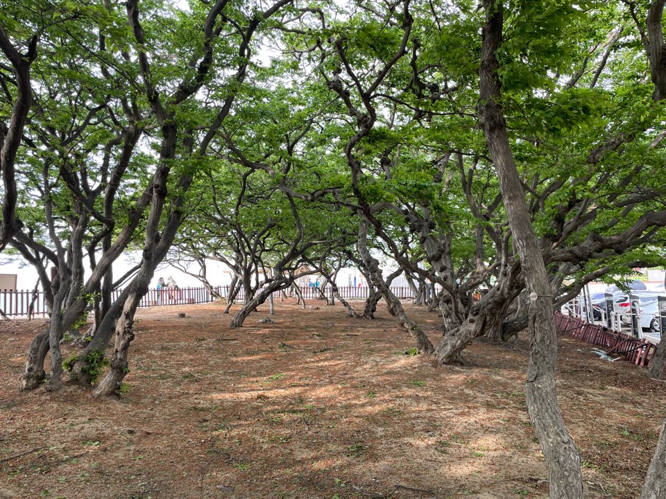 영흥도 십리포