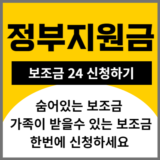 정부지원금 보조금 24 지금 신청하기