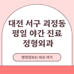 대전 서구 괴정동 평일 야간진료 정형외과 진료 병원