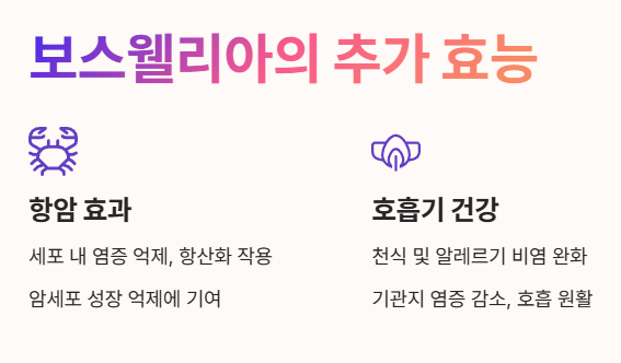 보스웰리아 효능: 항암효과 호흡기 건강