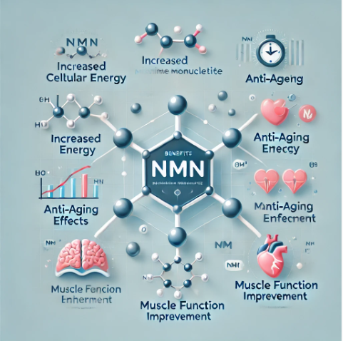 NMN효능 관련사진