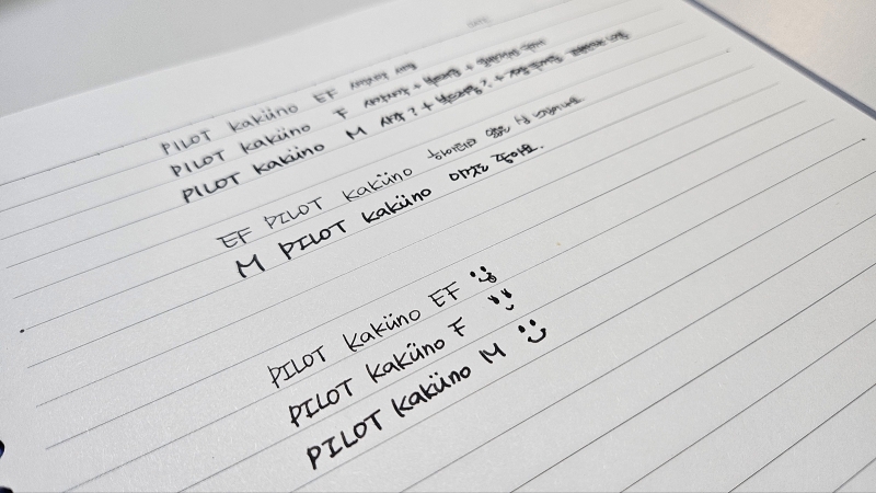 파이롯트 카쿠노8