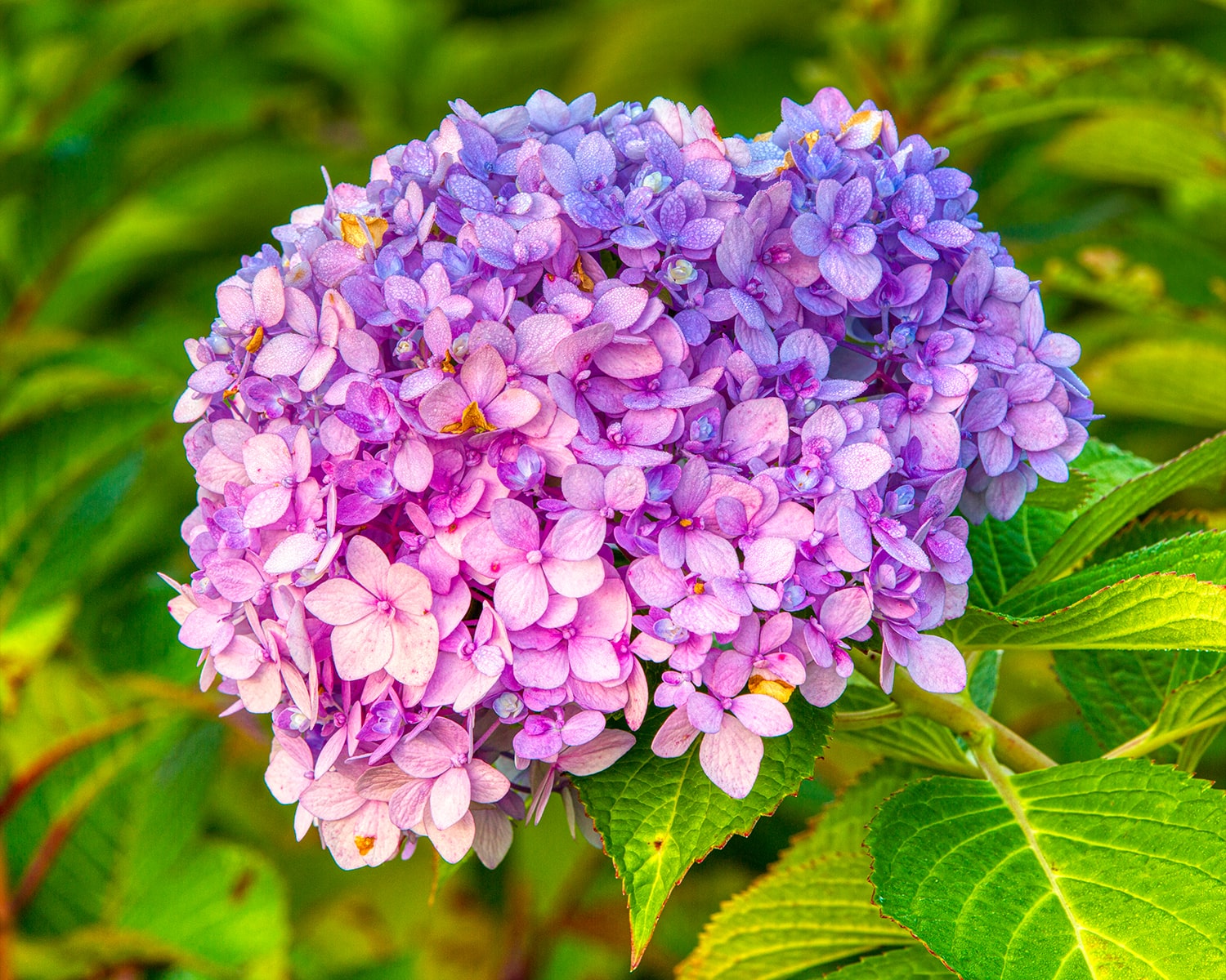 구리 한강공원- 27