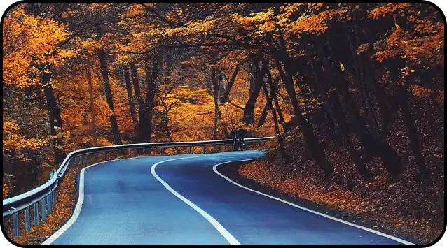 2024년 내장산 단풍절정시기