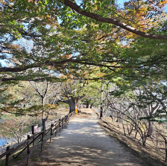 진해내수면환경생태공원3