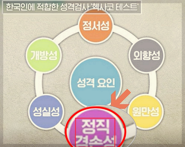 tvn어쩌다어른-헥사코테스트-6요소