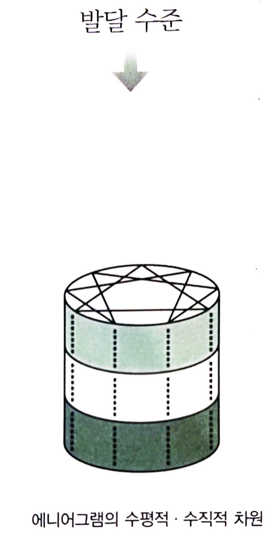 수직적 분류를 가능하게 하는 발달 수준(건강한 상태, 평균 상태, 불건강한 상태)