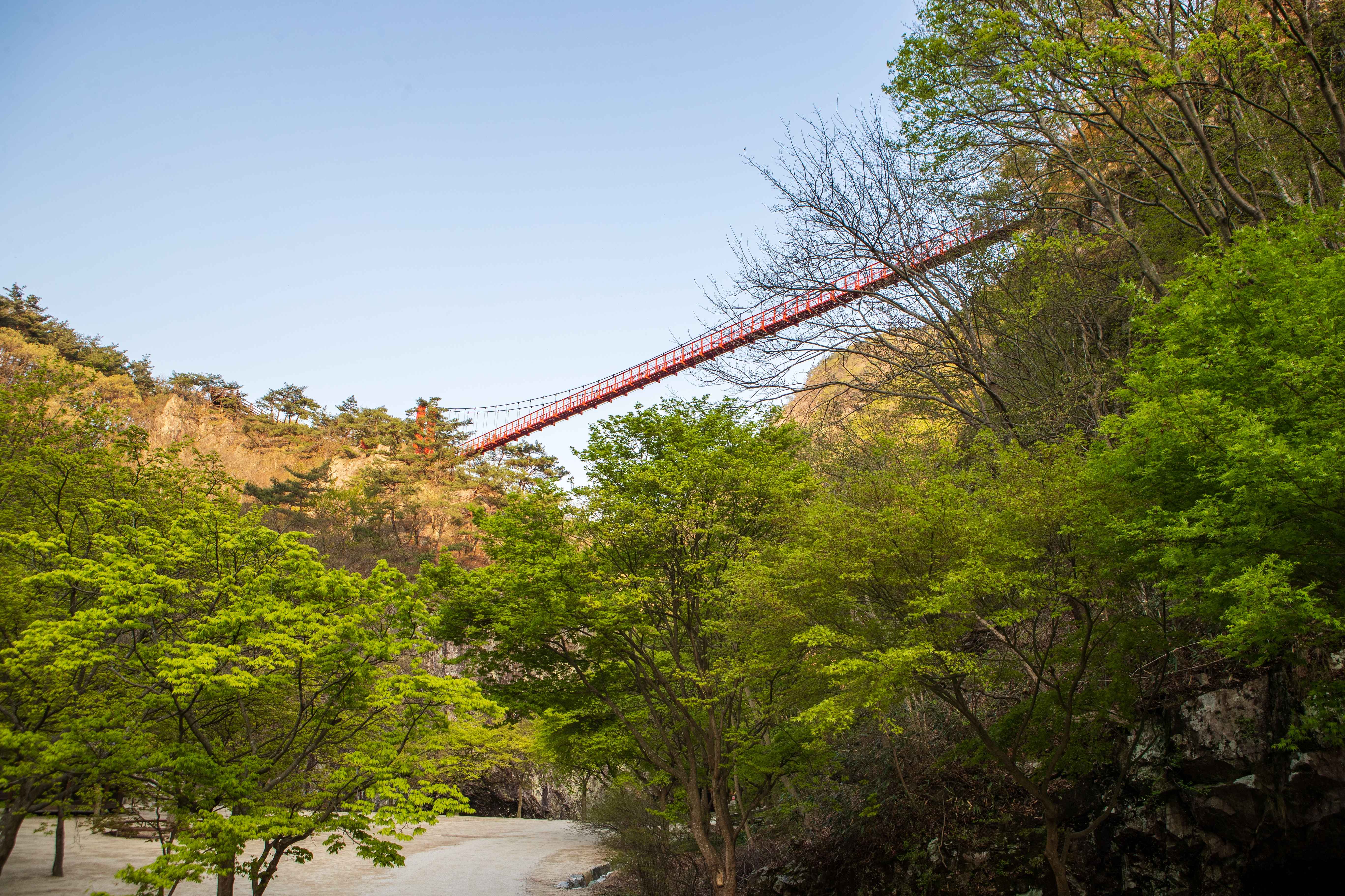강천산군립공원 출렁다리