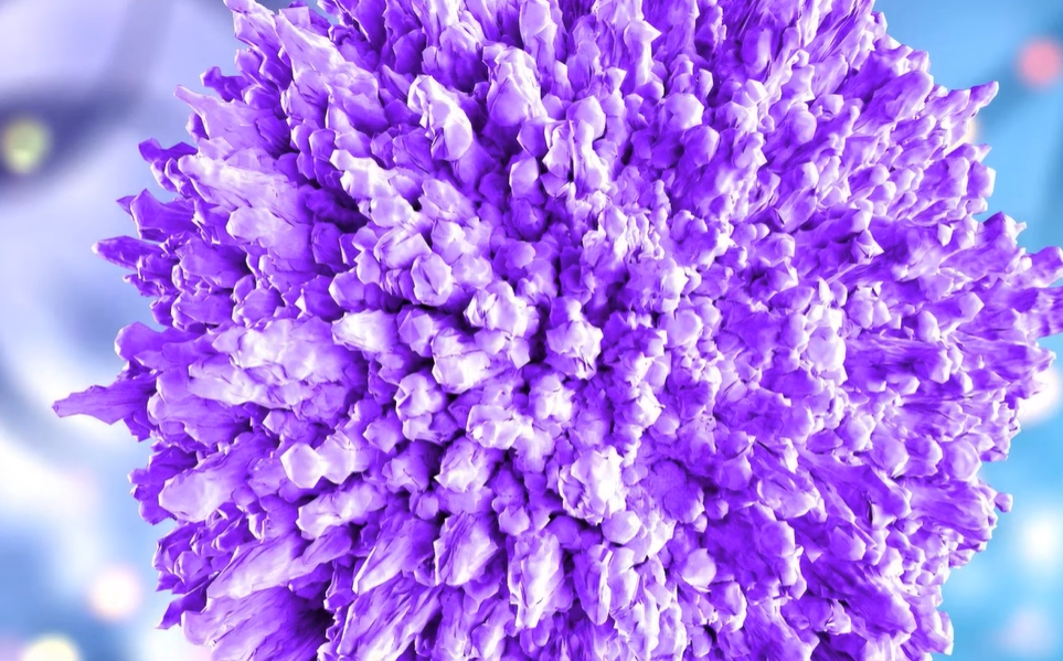 아시클로버 연고 효능