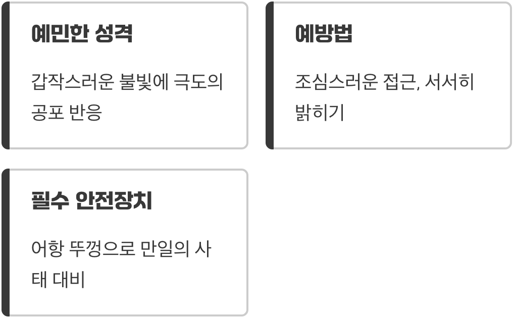 갑작스러운 자극, 깜짝 놀랐을 때