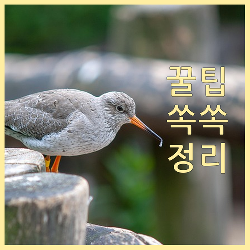 자양동 재활용쓰레기, 월수금 일몰 후..