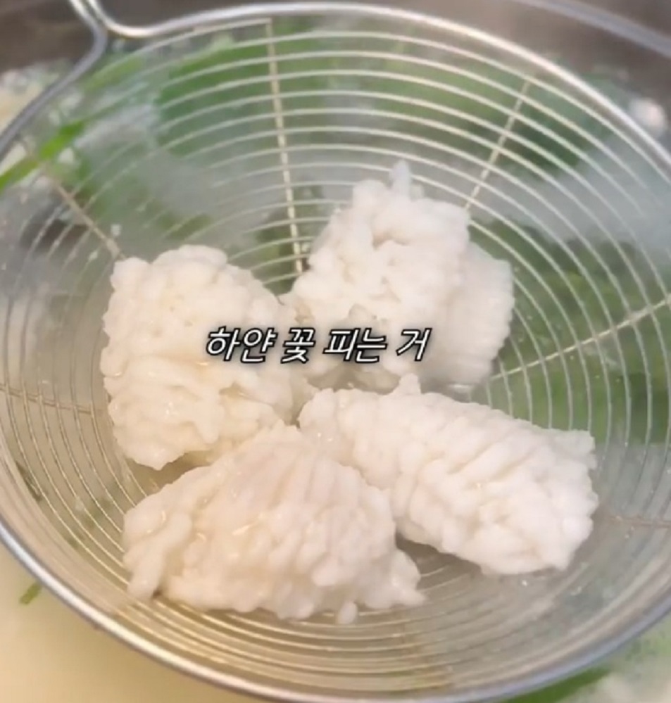 백반기행-사천-하모샤브샤브-하모회-제일전복횟집