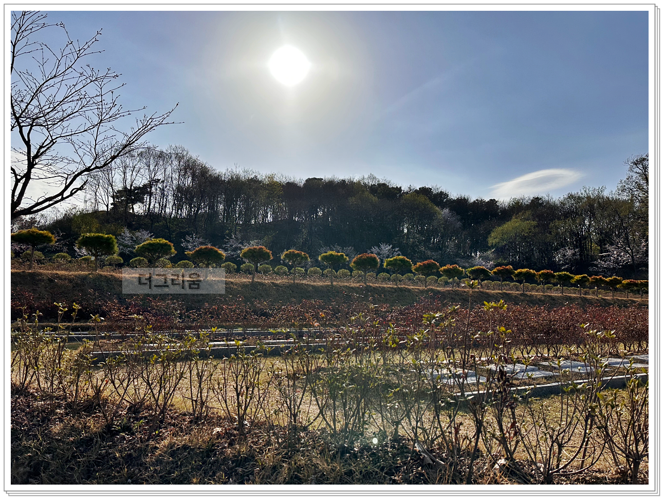 용인 수목장 가격