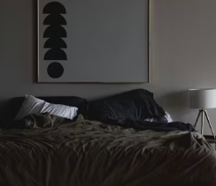 멜라토닌 부작용 섭취방법