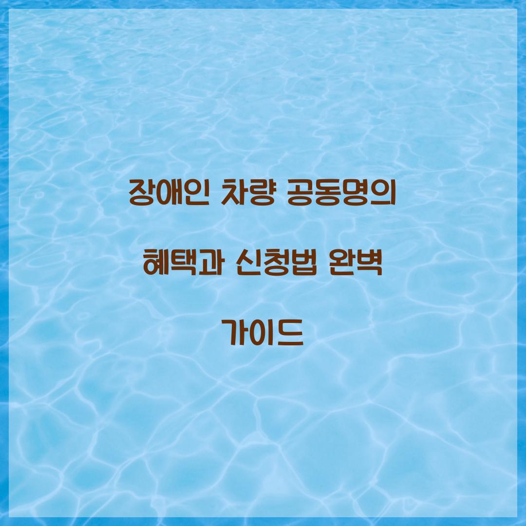 장애인 차량 공동명의