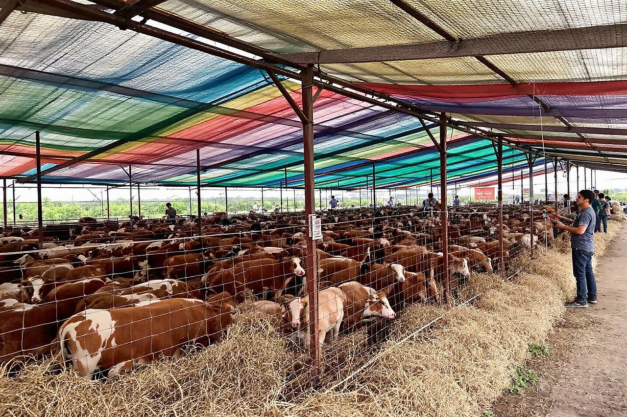 사육 환경 위생관리