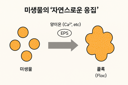 플록 형성의 기초