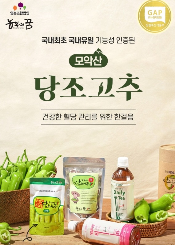 6시내고향-당조고추-모악산