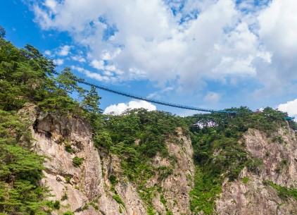소금산그랜드밸리-출렁다리를 산 아래에서 찍은 모습