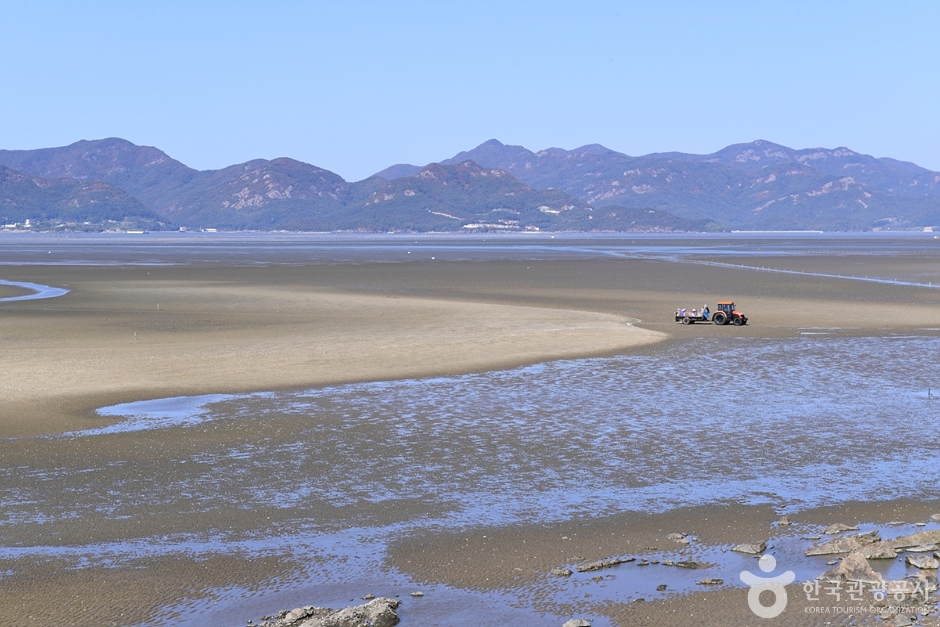 서해안 물때 시간표
