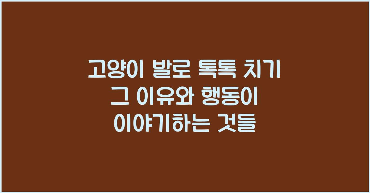 고양이 발로 톡톡 치기