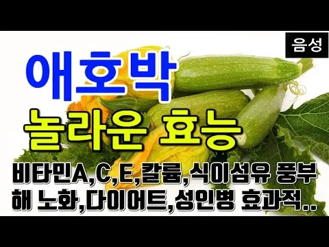 애호박 효능 여름철 보약 같은 채소 정리_5