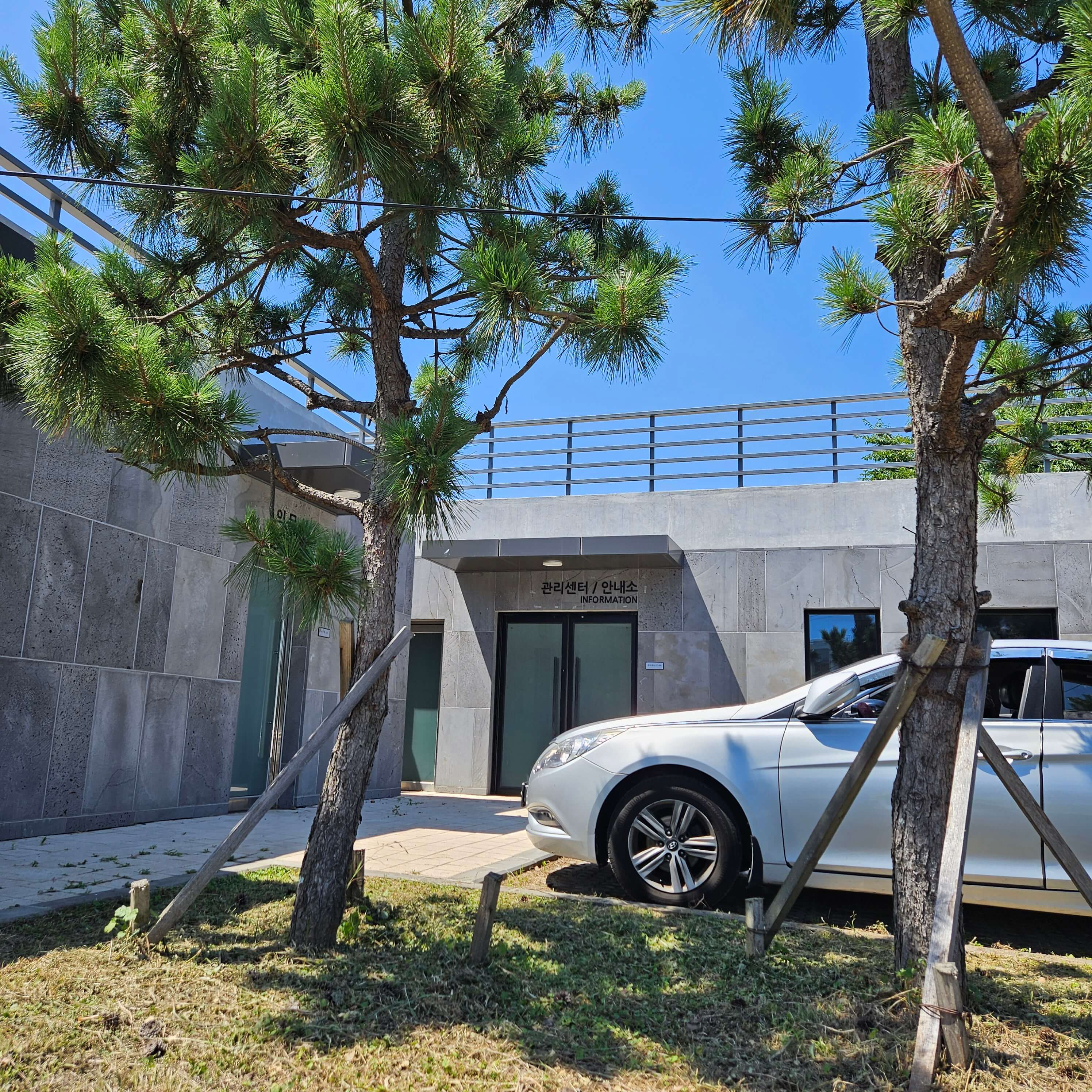 제주에서 바다만? 강정천 스노클링에서 찾은 색다른 즐거움