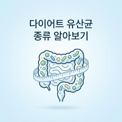 유산균 다이어트 균주 종류
