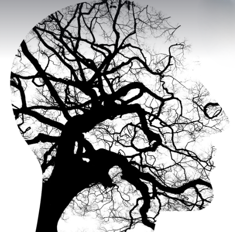 청소년 심리상담 (코로나 후유증, 우울증, 불안장애), 나무가지로 얽힌 사람의 옆 모습 형상 사진