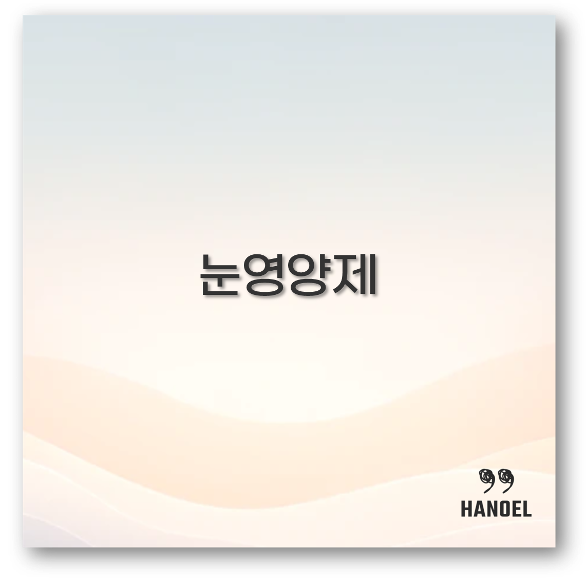 눈영양제