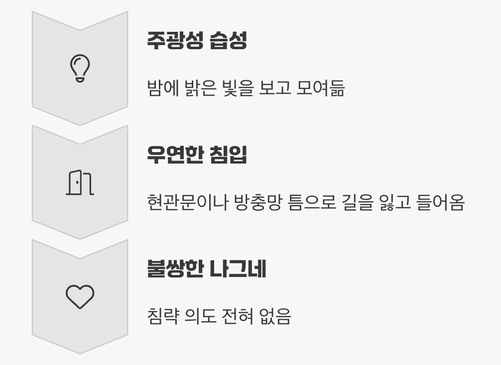 왜 집 안으로 들어올까?