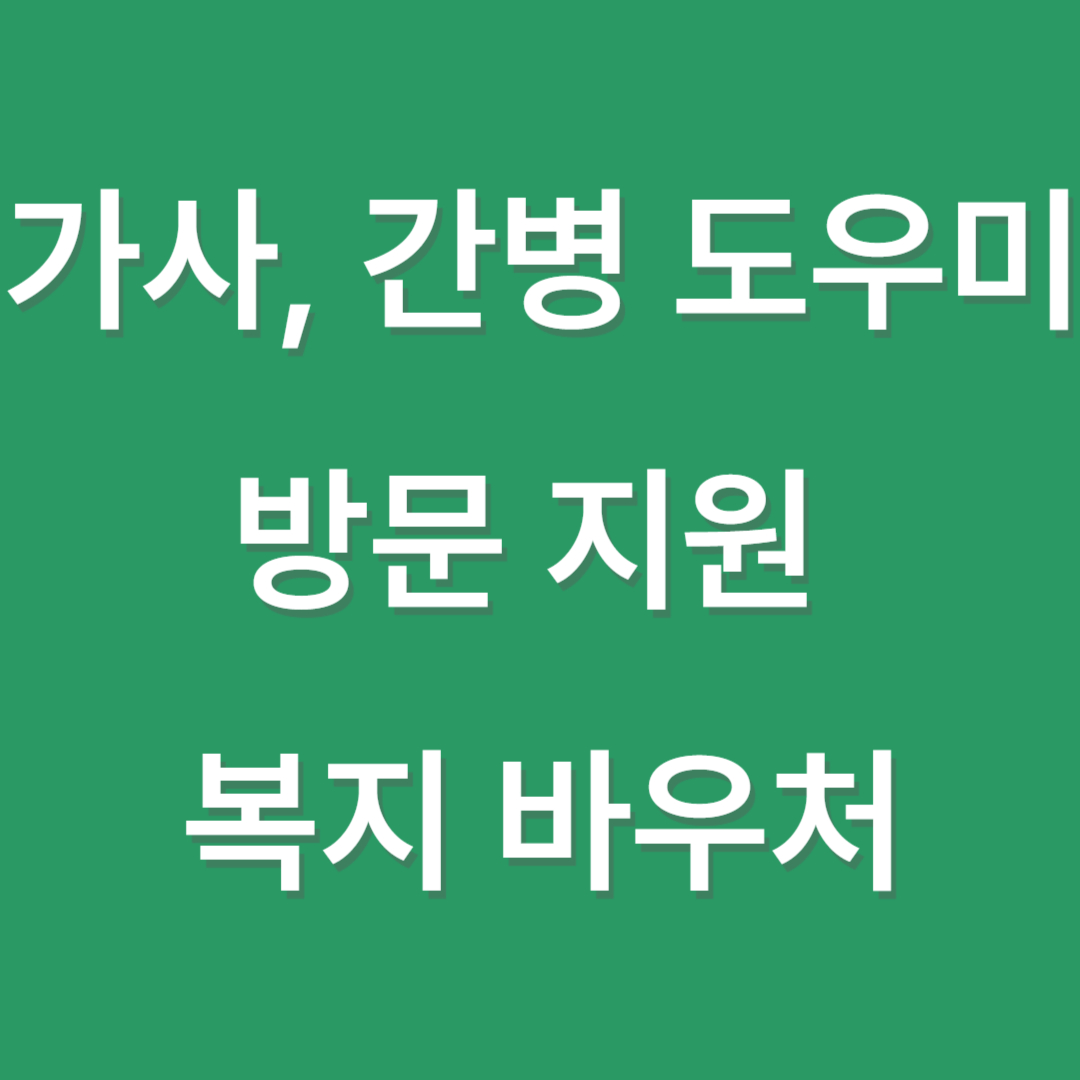 가사, 간병 방문 지원 바우처