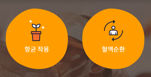 2025 보령머드축제 완벽 가이드