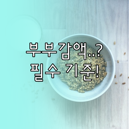 장애인연금과 기초연금 동시 수령 부부..