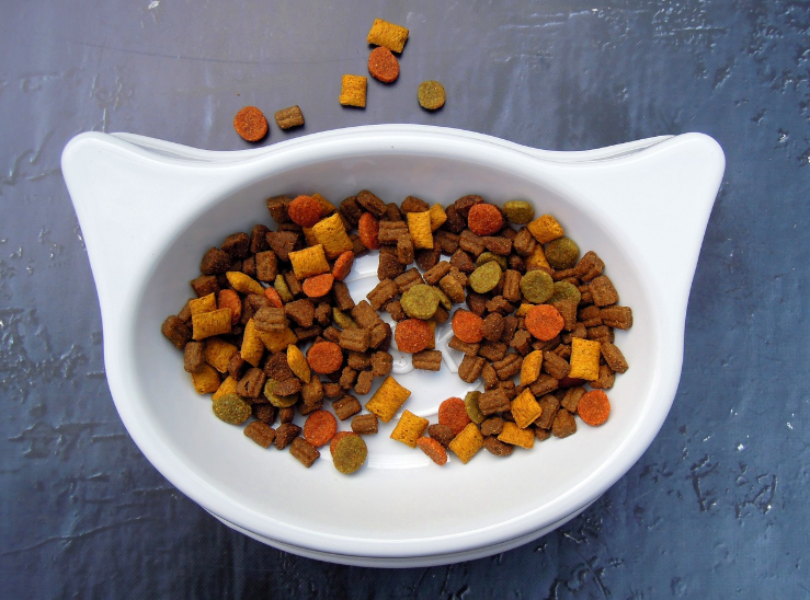 폐식품을 활용한 지속 가능한 음식 개발: 푸드 업사이클링 사례