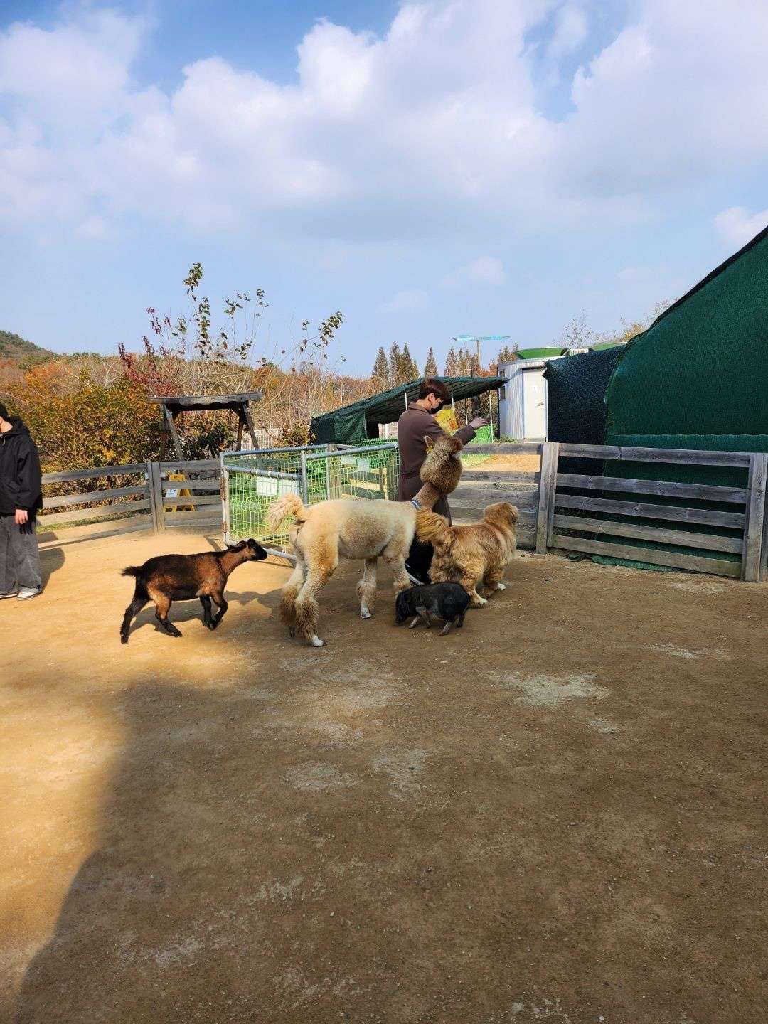 졸졸 따라다니는 동물들