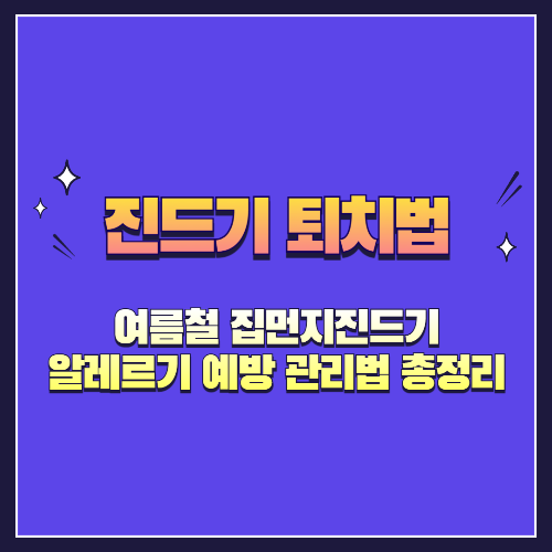 여름철 집먼지진드기 알레르기 예방과 관리법 총정리