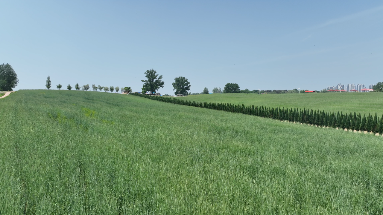 농협 안성팜랜드