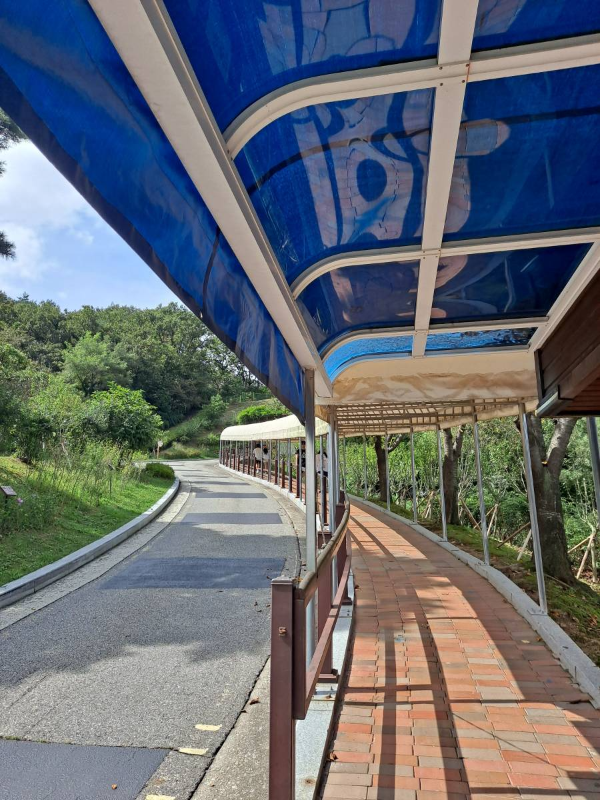 평화전망대 올라가는 길