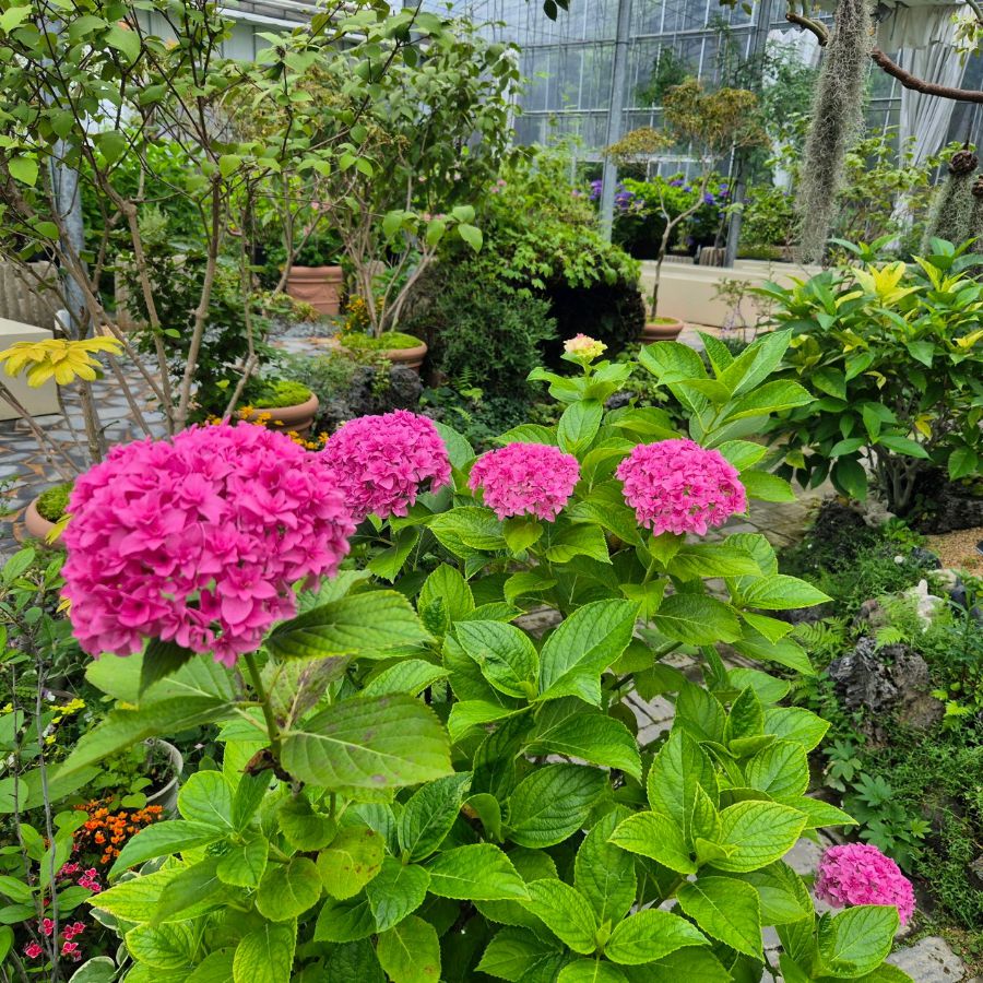 진해보타닉뮤지엄