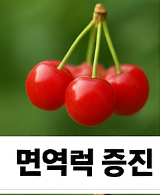 앵두 효능