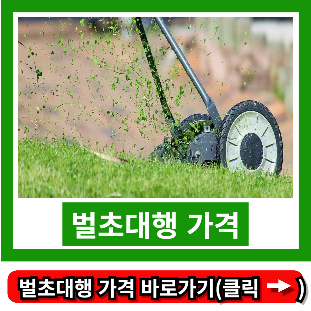 벌초대행 가격