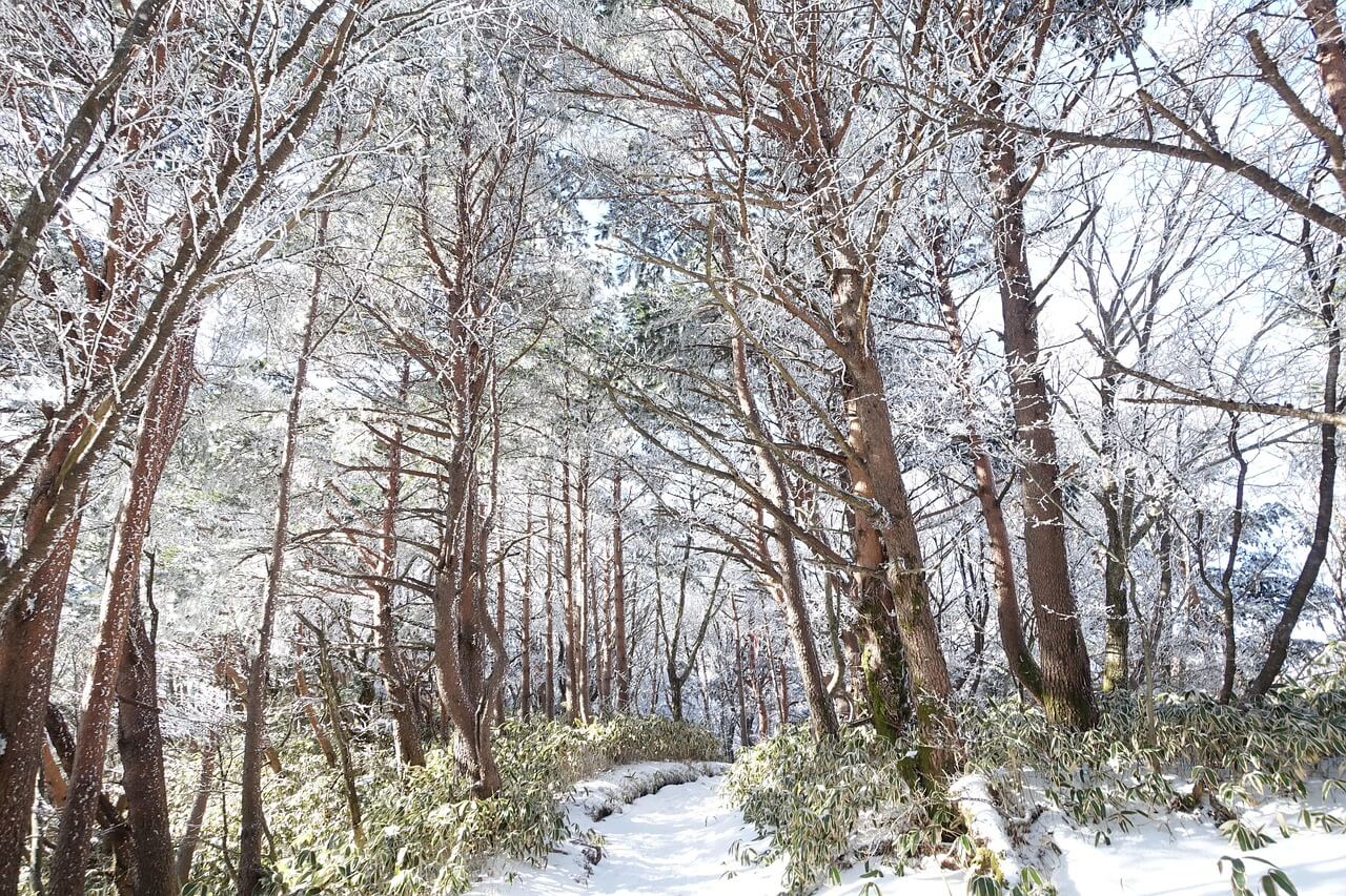 한라산 국립공원 탐방예약 시스템&amp;#44; 입산 예약 방법 및 필수 준비물 총정리