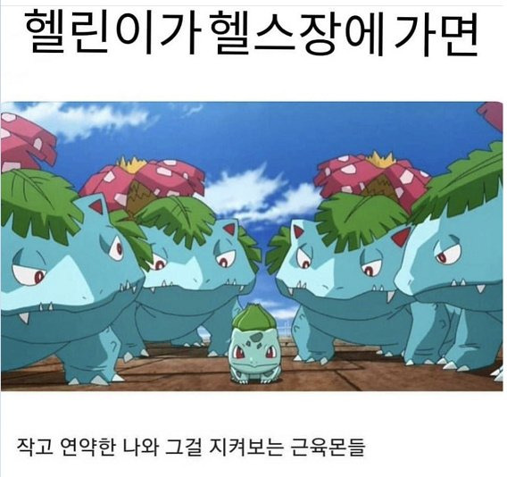 헬스 처음 시작하는 사람들관련 밈