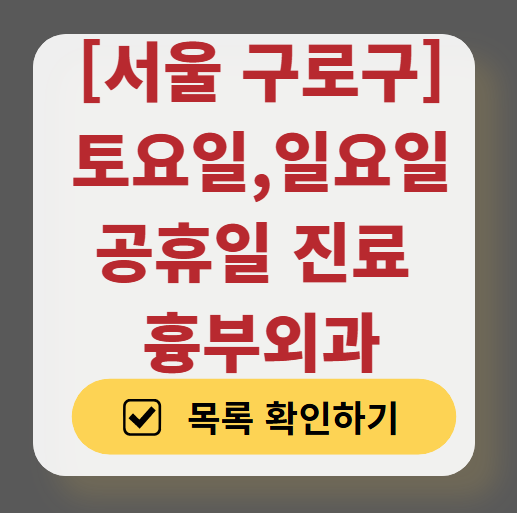 서울 구로구 주말 토요일 일요일 흉부외과 진료 병원 목록 ❘ 공휴일 진료 영업 병원 리스트 찾기