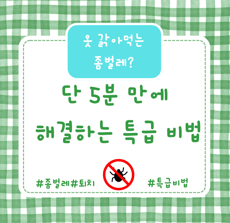 alt=&quot;옷 갉아먹는 좀벌레? 단 5분 만에 해결하는 특급 비법&quot;