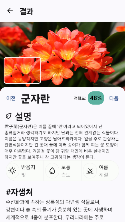 꽃 이름 찾기 어플, 핸드폰으로 꽃을 찍어 AI가 사진으로 꽃 이름 식별