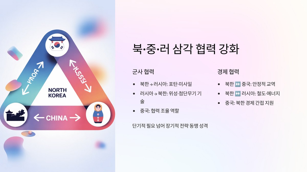 북·중·러 협력 현황
